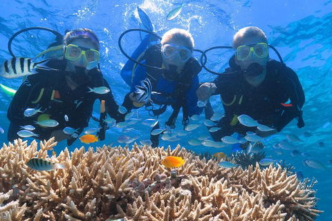 Quicksilver Outer Great Barrier Reef Snorkel Cruise From Port Douglas - Tourism Cairns 1