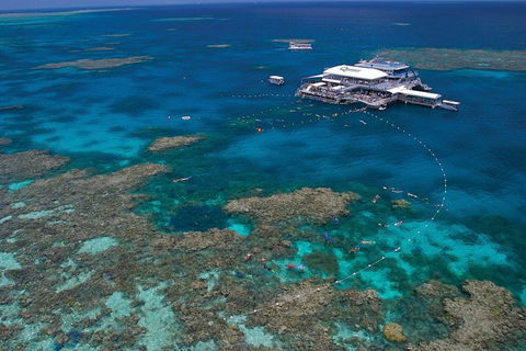Quicksilver Outer Great Barrier Reef Snorkel Cruise From Port Douglas - Tourism Cairns 0