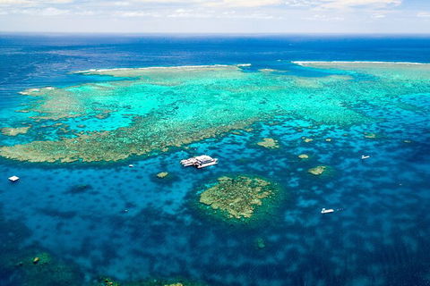Quicksilver Outer Great Barrier Reef Snorkel Cruise From Port Douglas - Tourism Cairns 5