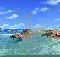 Horse Swimming Ride from Rainbow Beach - Tourism Cairns