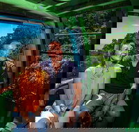 Skyrail Rainforest Cableway Day Trip from Palm Cove - Tourism Cairns