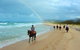 Rainbow Beach Horse Ride - thumb 0