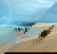 Rainbow Beach Horse Ride - Tourism Cairns