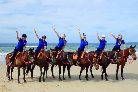 Rainbow Beach Horse Ride - Tourism Cairns 4