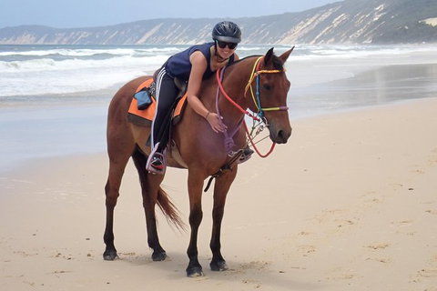 Rainbow Beach Horse Ride - Tourism Cairns 2