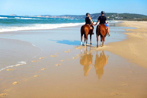 Rainbow Beach Horse Ride - Tourism Cairns 3