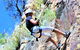 Abseiling The Kangaroo Point Cliffs In Brisbane - thumb 3