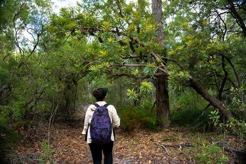 Pack-free Camping: Lake McKenzie Central Hike - 2 Days - Tourism Cairns 1