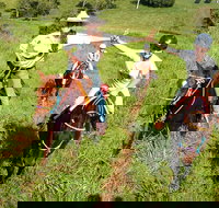 Country Day Ride from Mt Goomboorian with Rainbow Beach Horse Rides - Tourism Cairns