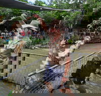 Hartley's Crocodile Adventures Day Trip from Cairns - Tourism Cairns