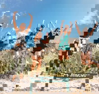 2-Day Fraser Island 4WD Adventure Tour Departing Rainbow Beach - Tourism Cairns