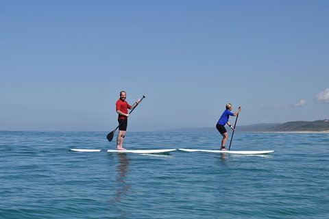 Stand Up Paddle Double Island Lesson - Tourism Cairns 9