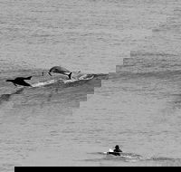 Overnight Tweed Coast Camping and Surfing Getaway From The Gold Coast - Tourism Cairns