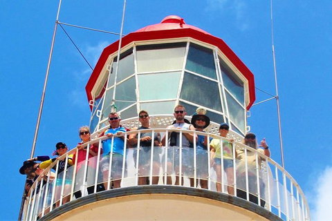 Full-Day 1770 Tour By LARC Amphibious Vehicle Including Sandboarding And Bustard Head Lightstation - Tourism Cairns 4