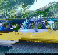 3.5 hour Eco Tour - Tourism Cairns