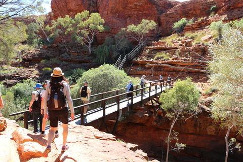 Kings Canyon Day Trip From Ayers Rock - Tourism Cairns 19
