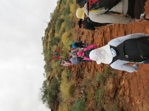 Kings Canyon Day Trip From Ayers Rock - Tourism Cairns 14