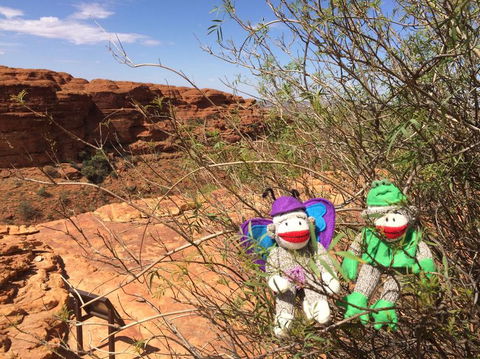 Kings Canyon Day Trip From Ayers Rock - Tourism Cairns 23