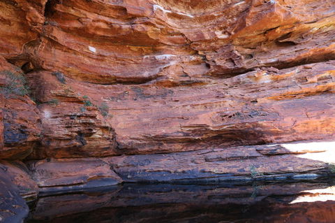 Kings Canyon Day Trip From Ayers Rock - Tourism Cairns 16
