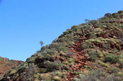 Kings Canyon Day Trip From Ayers Rock - Tourism Cairns 21