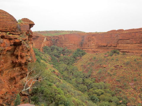 Kings Canyon Day Trip From Ayers Rock - Tourism Cairns 13