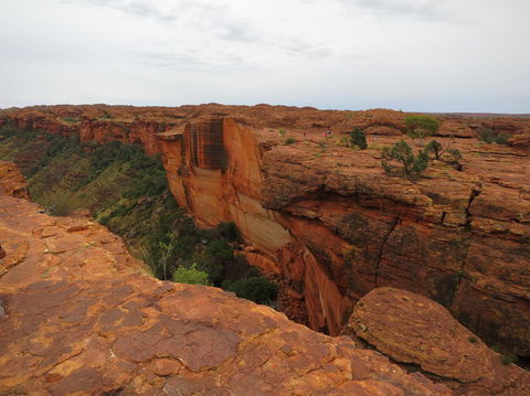 Kings Canyon Day Trip From Ayers Rock - Tourism Cairns 10