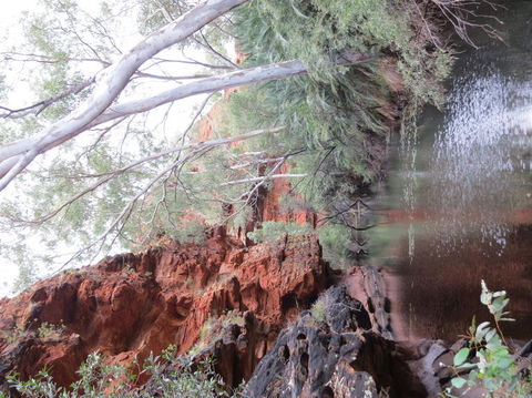 Kings Canyon Day Trip From Ayers Rock - Tourism Cairns 11