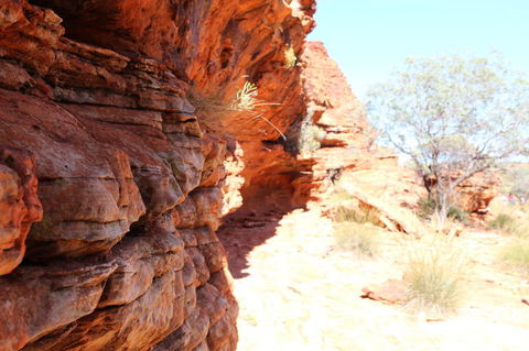 Kings Canyon Day Trip From Ayers Rock - Tourism Cairns 20