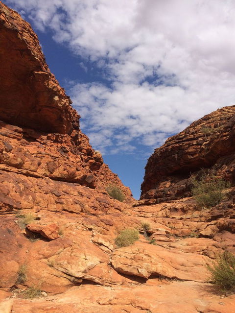 Kings Canyon Day Trip From Ayers Rock - Tourism Cairns 25