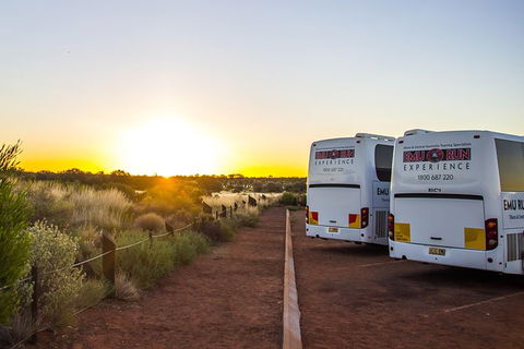 Uluru And Kata Tjuta Experience With BBQ Dinner - Tourism Cairns 4