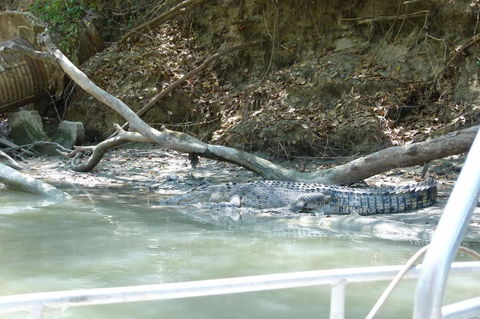 Kakadu Full-Day Tour From Darwin With Lunch - Tourism Cairns 2