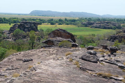Kakadu Full-Day Tour From Darwin With Lunch - Tourism Cairns 3