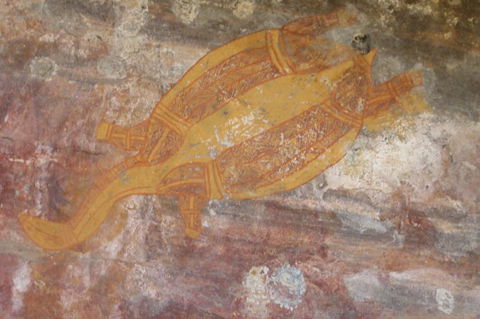 Kakadu Full-Day Tour From Darwin With Lunch - Tourism Cairns 4