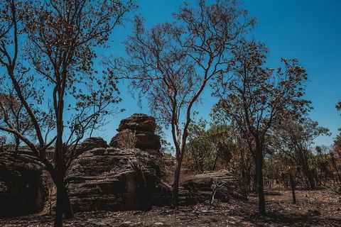 Kakadu Full-Day Tour From Darwin With Lunch - Tourism Cairns 6