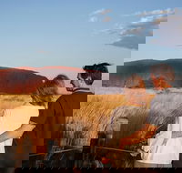 Uluru Ayers Rock Sunset with Outback Barbecue Dinner and Star Tour - Tourism Cairns