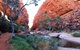 Half Day MacDonnell Ranges Small Group - Private Guided Tour - thumb 0