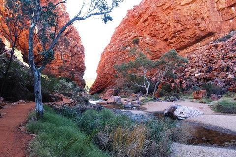 Half Day MacDonnell Ranges Small Group - Private Guided Tour - Tourism Cairns 0