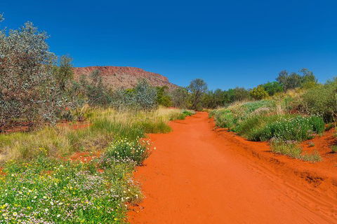 Alice Springs Desert Park General Entry Ticket - Tourism Cairns 7