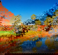 Palm Valley 4WD Day Tour - Tourism Cairns