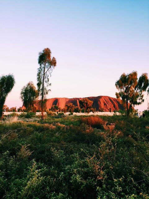 Uluru & Kata Tjuta Sights & Sounds - Tourism Cairns 3