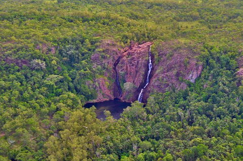 Litchfield Park & Daly River - Scenic Flight From Darwin - Tourism Cairns 9