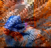 3-Day Red Centre Camping Safari from Alice Springs or Ayers Rock Including Kings Canyon - Tourism Cairns