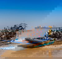 1 Hour Darwin Airboat Tours - Tourism Cairns