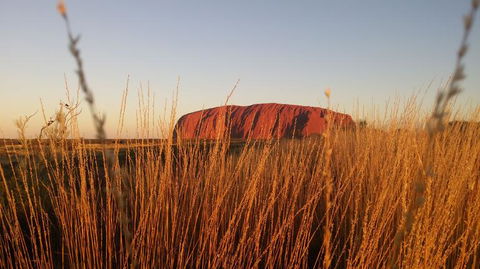4-Day Camping Trip From Ayers Rock Including Uluru, Kata Tjuta And Kings Canyon - Tourism Cairns 2
