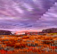 4-Day Camping Trip from Ayers Rock Including Uluru Kata Tjuta and Kings Canyon - Tourism Cairns