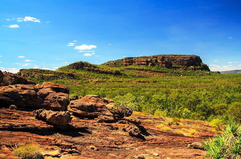 Kakadu, Nourlangie And Yellow Waters Tour From Darwin - Tourism Cairns 34