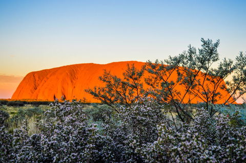 Uluru Sunrise And Kata Tjuta Half Day Trip - Tourism Cairns 2