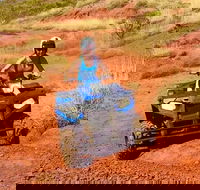 Aussie Outback Air and Land Tour Including Quad Bike Ride - Tourism Cairns