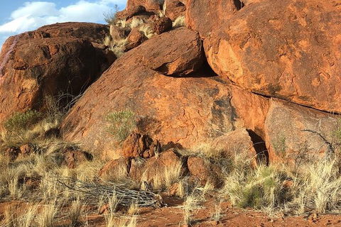 Aboriginal Homelands Experience From Ayers Rock Including Sunset - Tourism Cairns 9