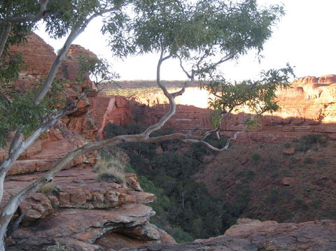 3-Day Uluru And Kings Canyon Camping Experience From Alice Springs Including Outback BBQ Dinner - Tourism Cairns 1